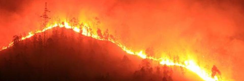山脊森林火灾案例